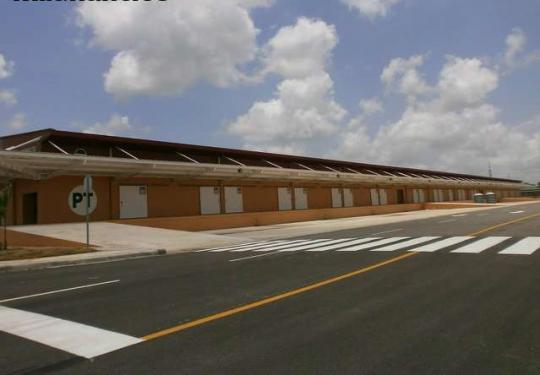 registro sanitario import export